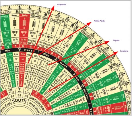 WhatsApp Image 2025-10-12 at 13.04.47_d833a412