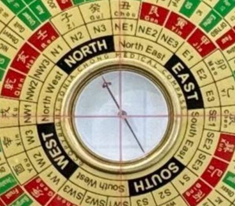 WhatsApp Image 2025-10-12 at 13.05.34_c36ea771